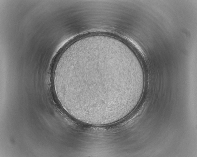 X0000115030878200911161505