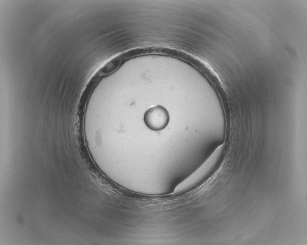 X0000115030879200911161505