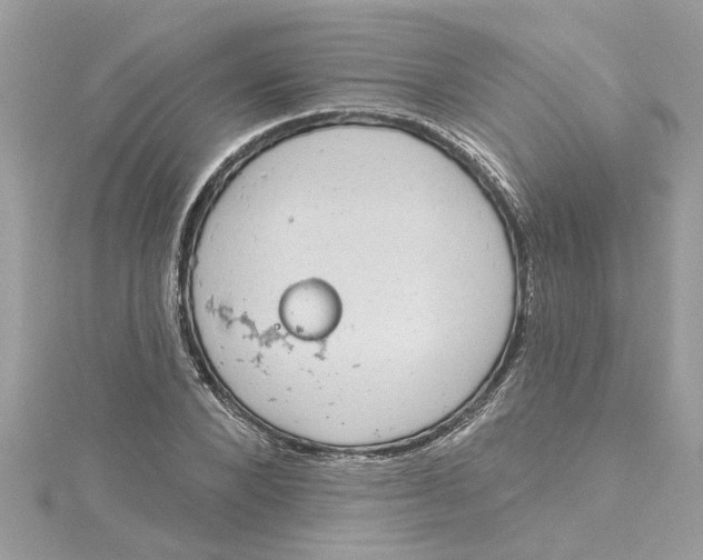 X0000115030880200911161505