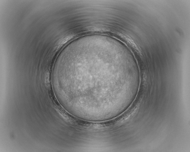 X0000115030881200911161505