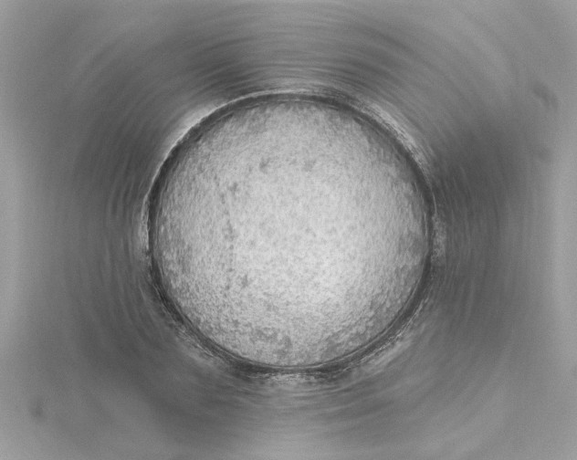 X0000115030883200911161505