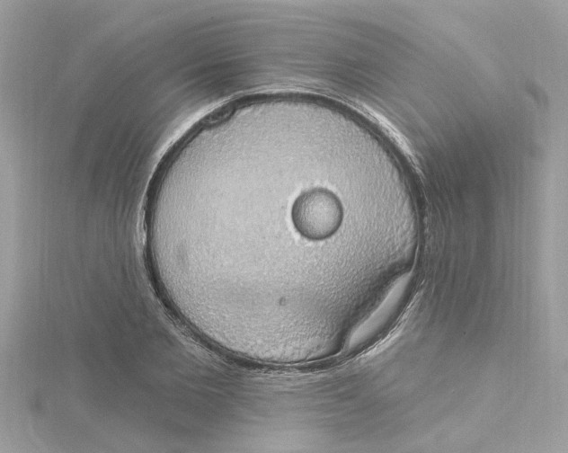 X0000115030885200911161505