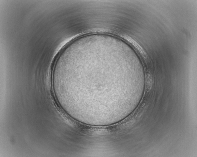 X0000115030886200911161505