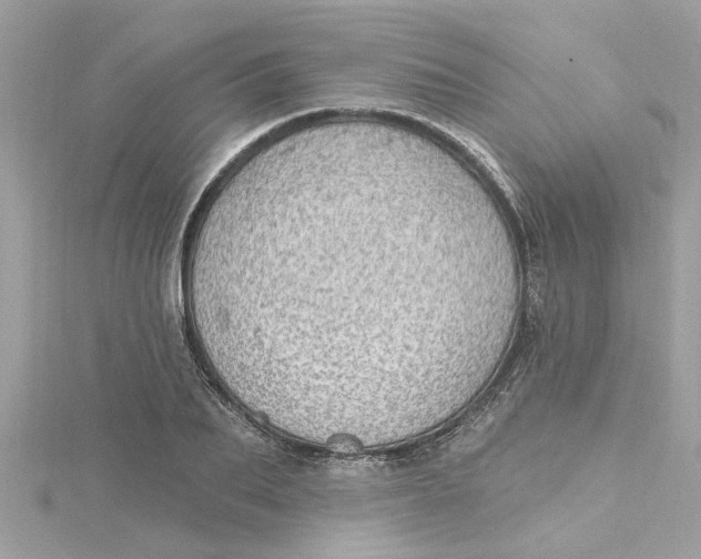 X0000115030887200911161505