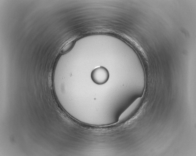 X0000115030889200911161504