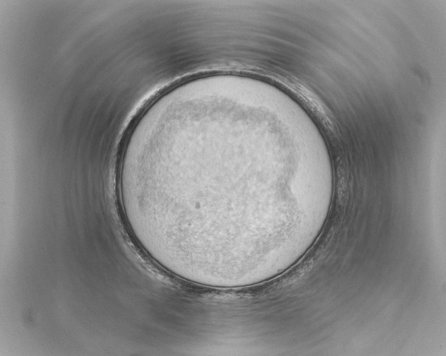 X0000115030896200911161504