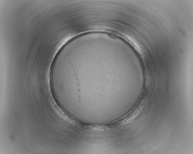 X0000115030899200911161504