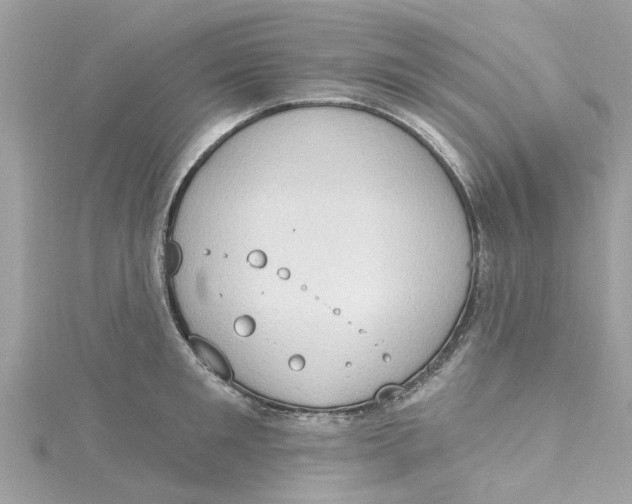 X0000115030901200911161504