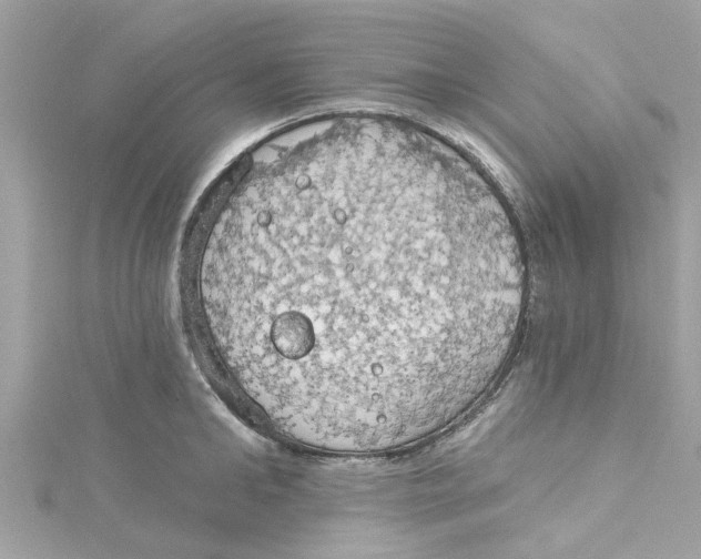 X0000115030902200911161504