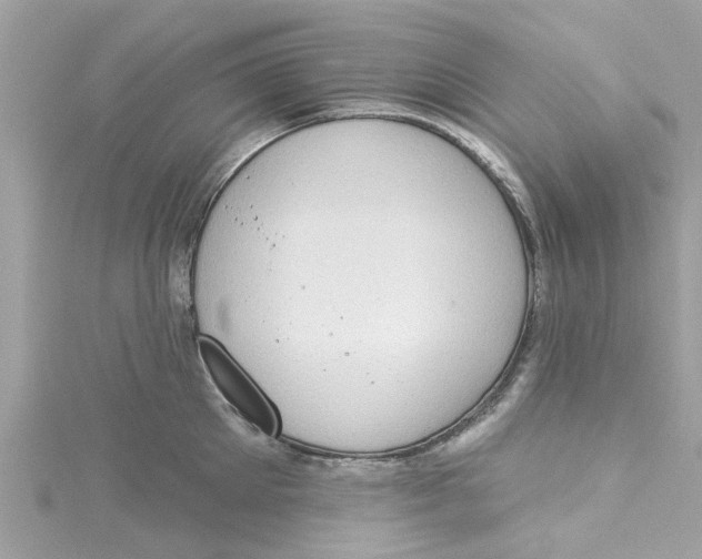 X0000115030905200911161504