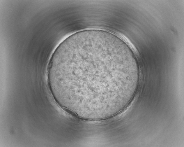 X0000115030908200911161504