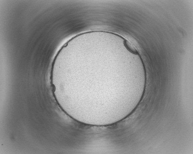 X0000115030912200911161504