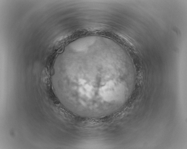 X0000115030917200911161504