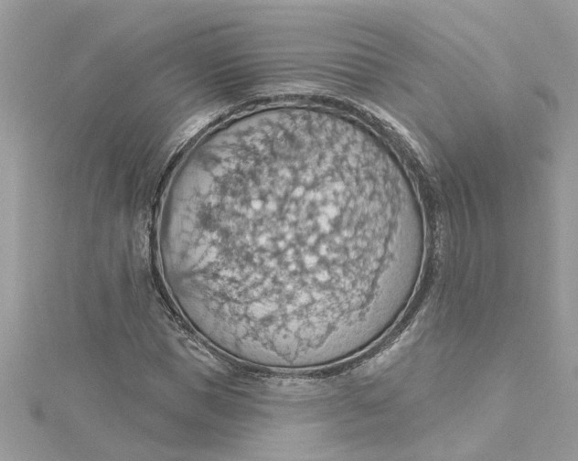 X0000115030921200911161504