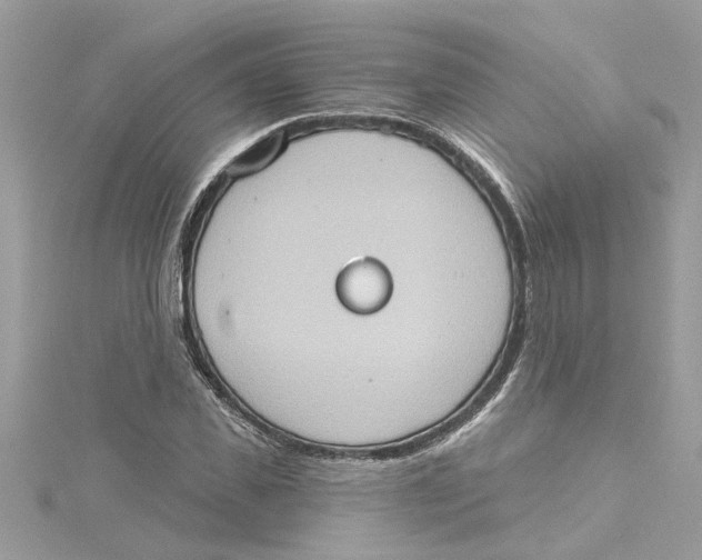 X0000115030925200911161504