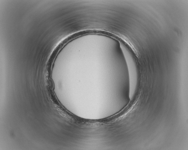 X0000115030926200911161504