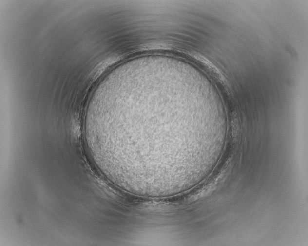 X0000115030929200911161504