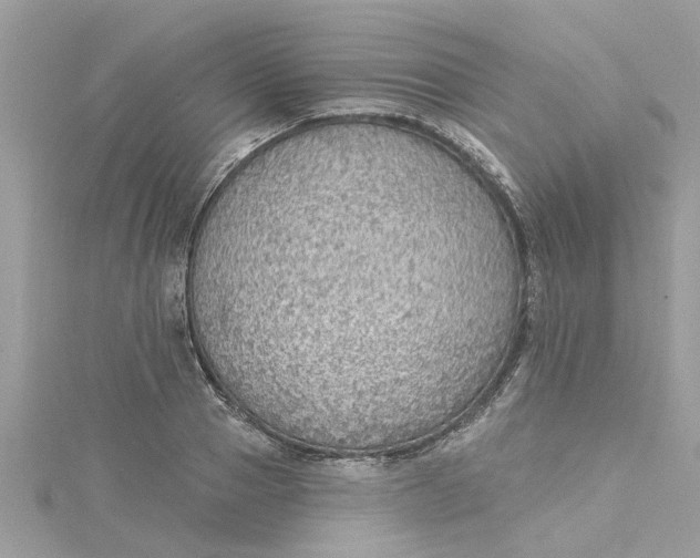 X0000115030937200911161504