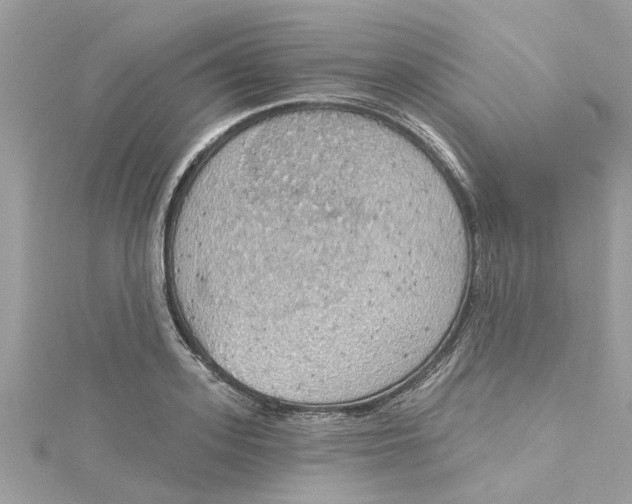 X0000115030939200911161504