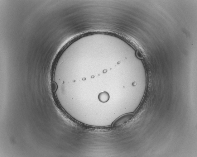 X0000115030942200911161504