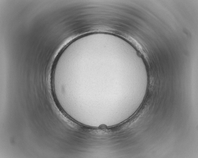 X0000115030947200911161504