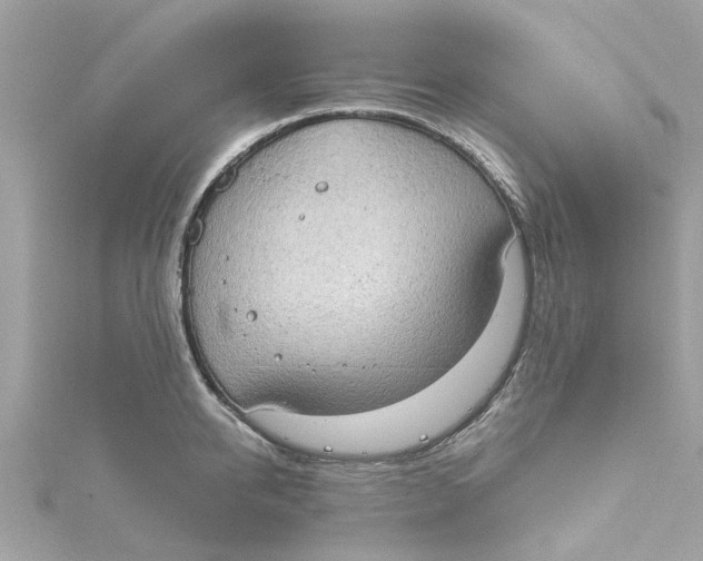 X0000115030950200911161504