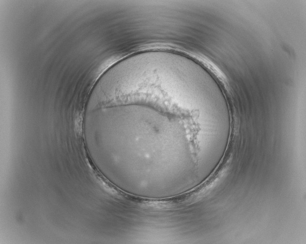 X0000115030953200911161504