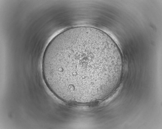 X0000115030957200911161504