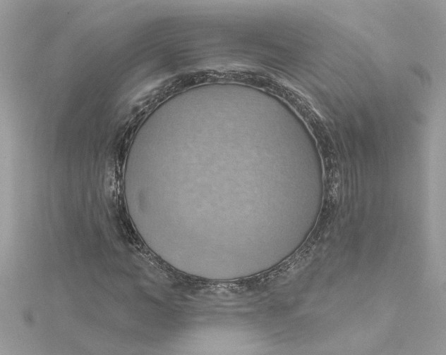 X0000115030966200911161504