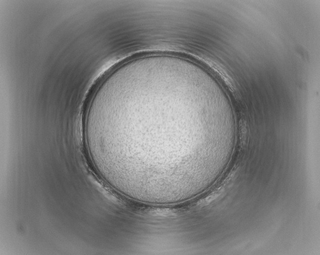 X0000115030982200911161503