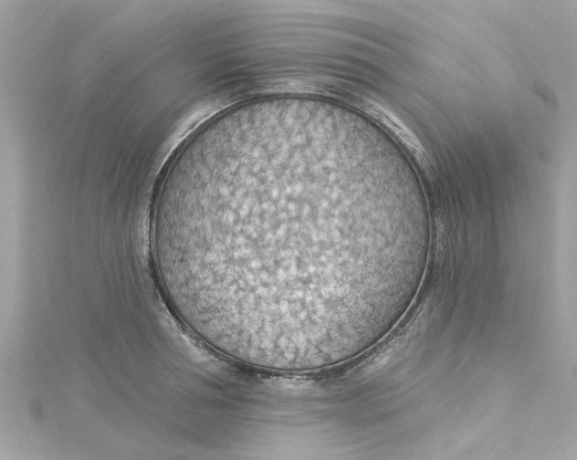 X0000115030994200911161503
