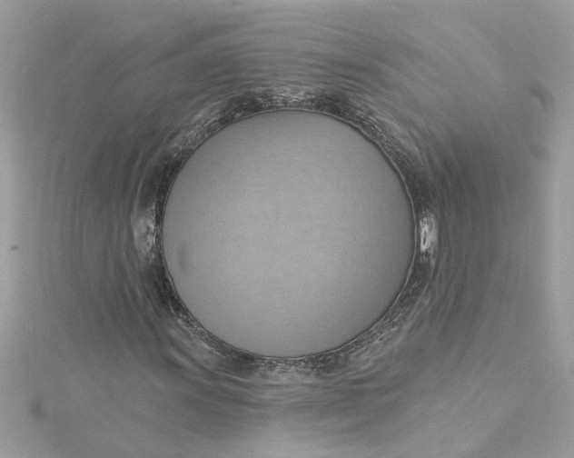 X0000115031011200911161502