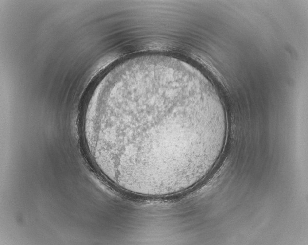 X0000115031026200911161503
