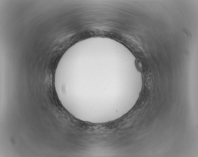 X0000115031061200911161502