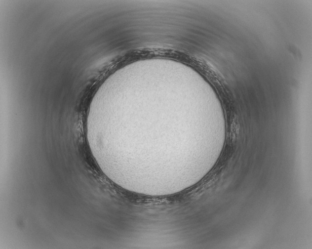 X0000115031062200911161502
