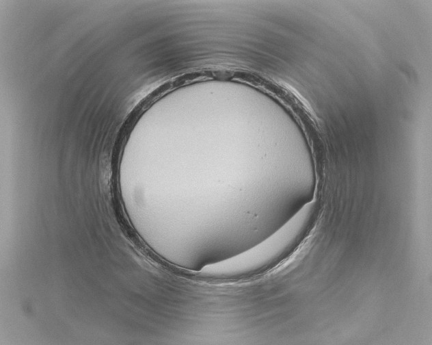 X0000115031065200911161502