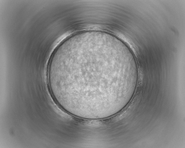 X0000115031090200911161502