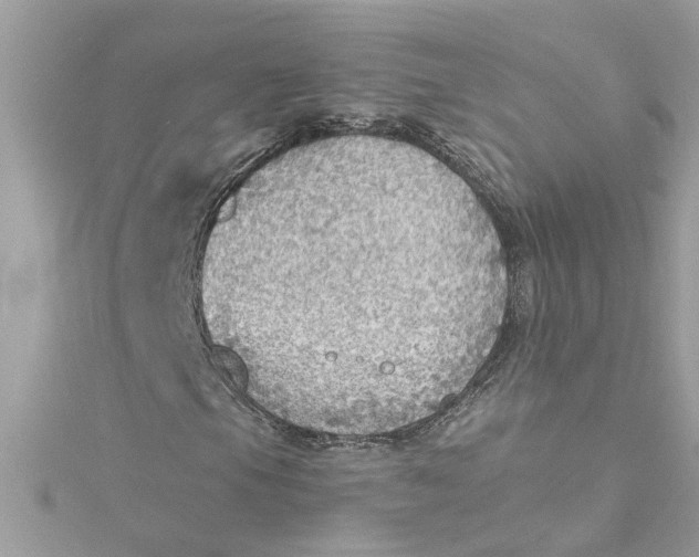 X0000115031105200911161501