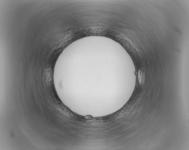 X0000115031107200911161501