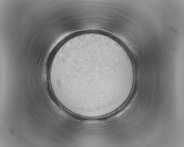 X0000115031118200911161501