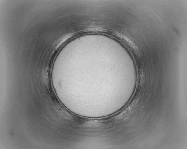 X0000115031162200911161501
