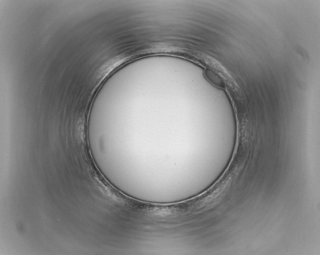 X0000115031177200911161501