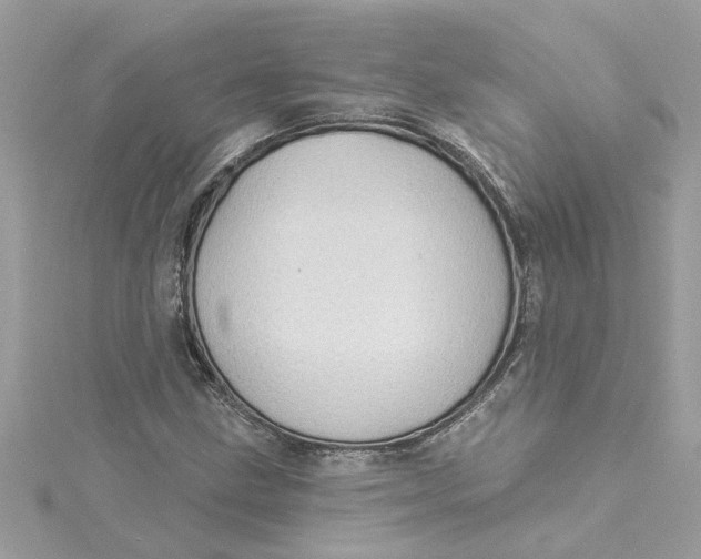 X0000115031211200911161500