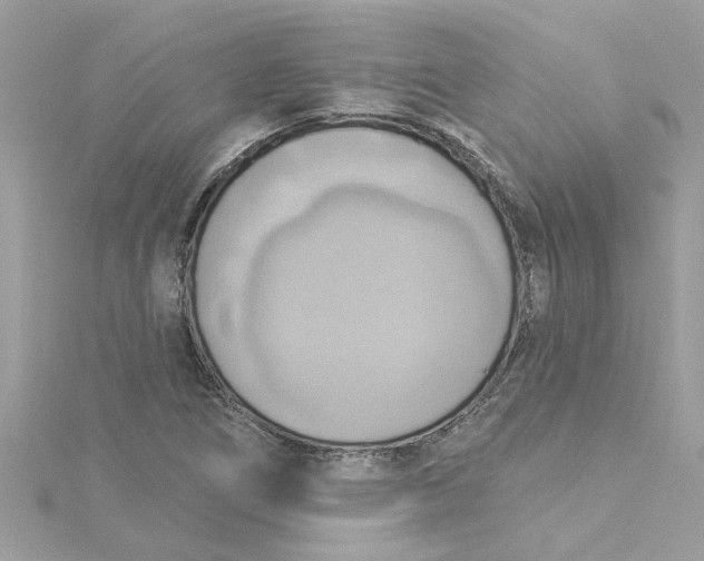 X0000115031266200911161459