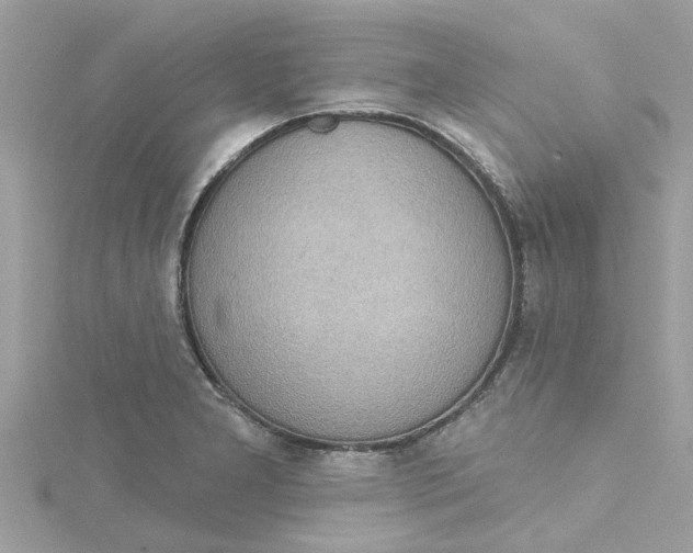 X0000115031277200911161459