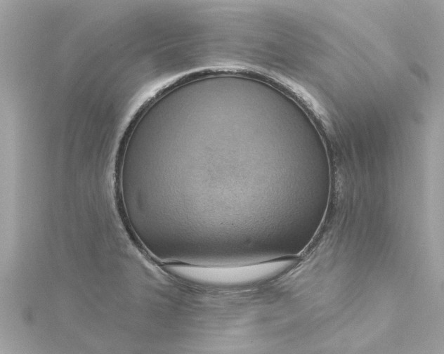 X0000115031327200911161459