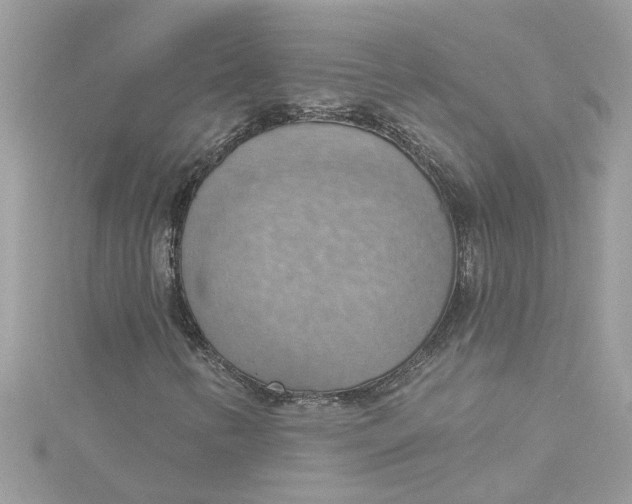 X0000115031346200911161458