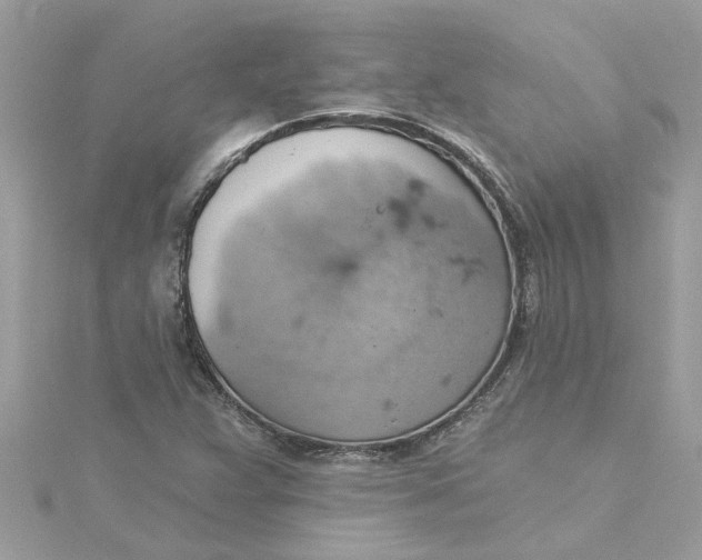 X0000115031359200911161458