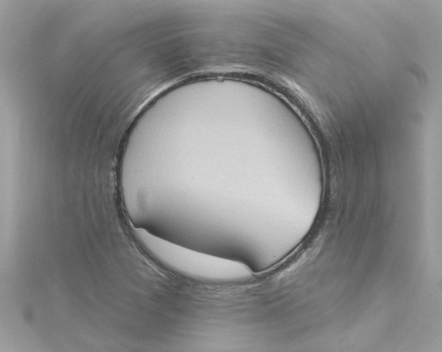 X0000115031361200911161458
