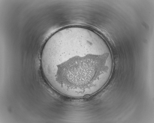 X0000115031363200911161458